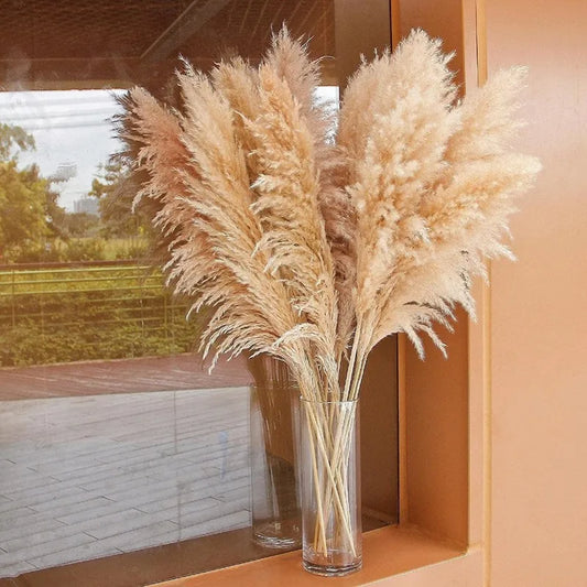 Natural Dried Pampas Grass 80 cm – Stylish Boho & Minimalist Décor – Sets of 5 or 10